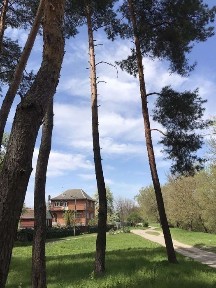 Будинок подобово для зустрічей, свят, вечірок.