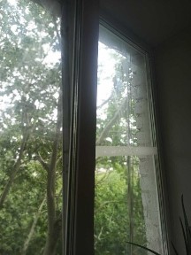 Запорізька область, Запоріжжя, Дніпровський