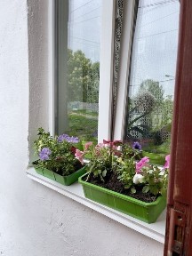 Продається однокімнатна квартира, вул. Житомирська