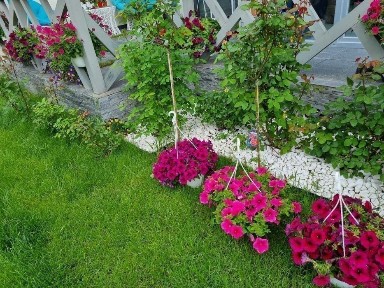 Здам ВІП будинок