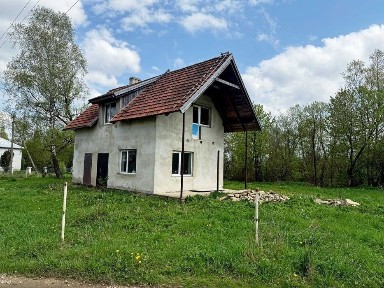 Будинок в Карпатах