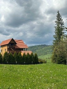 Оренда будинку в Карпатах, котедж подобово, відпочинок ГК Плай
