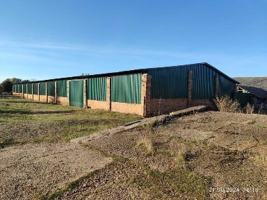 Житомирська область, Житомир, Максютова