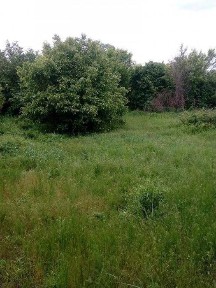 Харківська область, Харків, Новобаварський