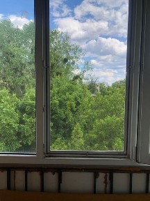 Київська область, Київ, Шевченківський