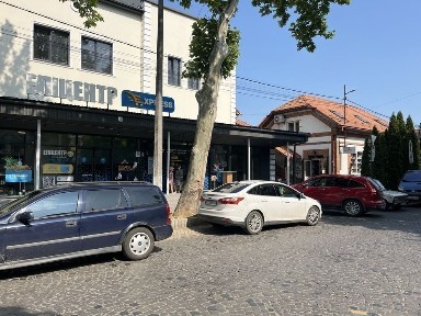 Закарпатська область, Берегове