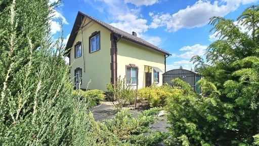 Київська область, Бориспіль