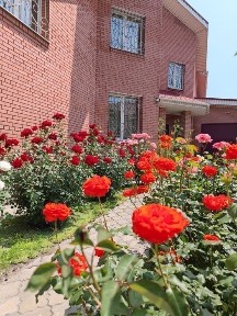 Дніпропетровська область, Дніпро, Індустріальний