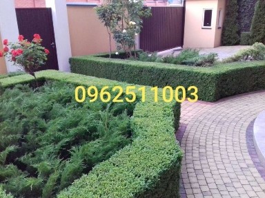 Киев, Редутная ул.