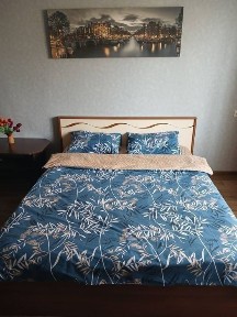 Здам квартиру в центрі подобово