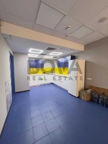 Київська область, Київ, Шевченківський