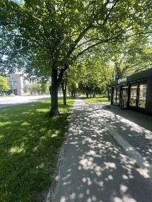 Київська область, Бориспіль