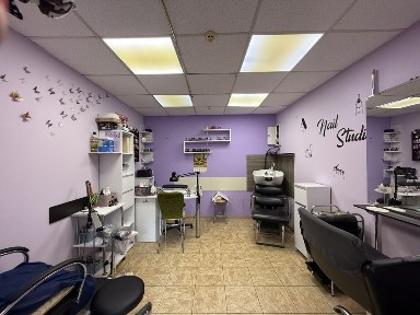 Київська область, Київ, Шевченківський