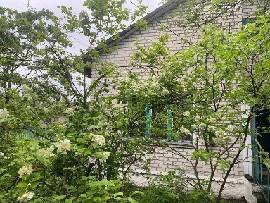 Здам будинок в Брусилові (Покришів)