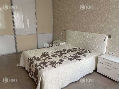 6к. 200м2 Центр (м. Университет, ул. Мироносицкая) 119953