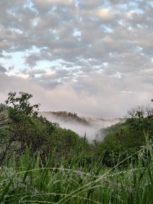 Еко садиба Джерело Гармонії, сімейний відпочинку на природі, Канів