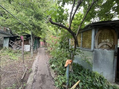 Дача в межах міста