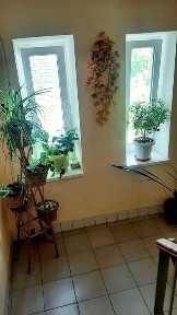 Продам 2-х кімнатну на Замості 9448