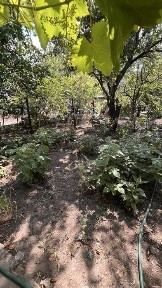 Миколаївська область, Миколаїв, Iнгульський