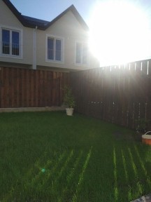 Київська область, Святопетрівське