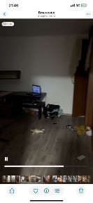 Київська область, Вишневе