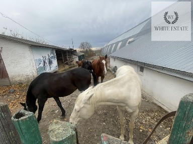 Тернопільська область, Тернопіль