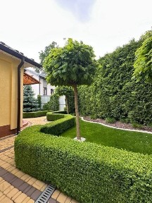 Київська область, Ірпінь