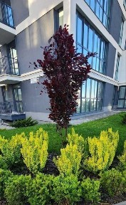 Продаж 2-х кім квартири з правом власності