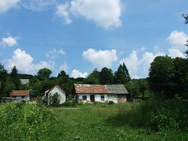 Продаж ділянки, будинку с. Поляна Львівська обл.