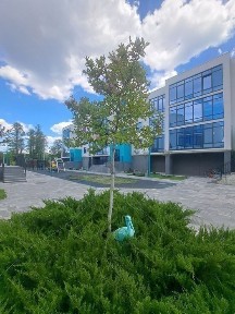 Продам останю величезну Трикімнатну квартиру в лісній частині Ірпеня