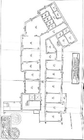 Закарпатська область, Голубине