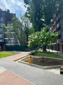 Одеська область, Одеса, Київський