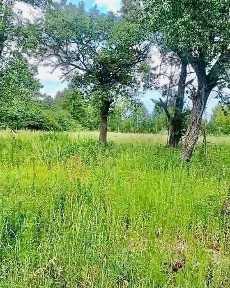 Продажа дома 31.5 м², Коцюбинського, 5