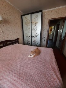 Кіровоградська область, Кропивницький, Фортечний