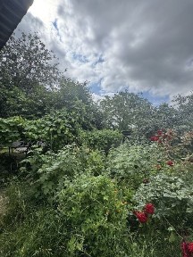 Полтавська область, Полтава