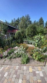 Київська область, Нещерів