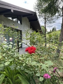 Новий котедж RiVERHILL на 2-4 чол., подобово.