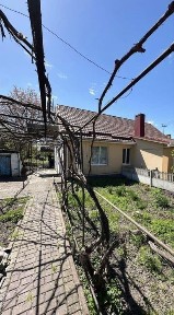 Рівненська область, Рівне