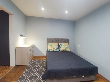 Дніпропетровська область, Дніпро, Центральний