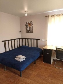 Харківська область, Харків, Шевченківський