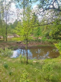 Терміново продам будинок дача в с, Перлявка 27000 у.е. торг