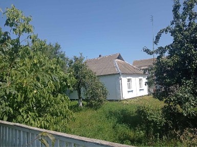 Київська область, Лосятин