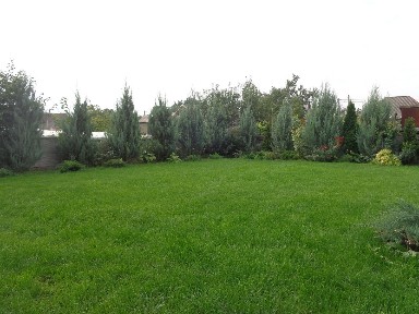 Дніпропетровська область, Дніпро, Амур-Нижньодніпровський