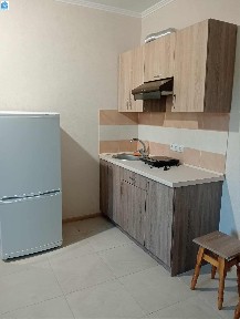 Аренда 1-комнатной квартиры 36 м², Чубинского ул.