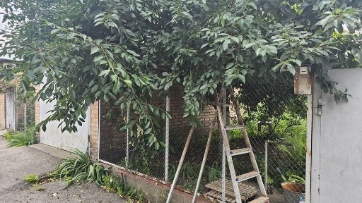 Кіровоградська область, Кропивницький, Фортечний