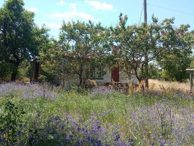 Продам будинок в с. Будище