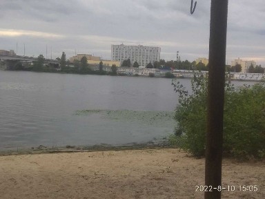 Київська область, Київ, Шевченківський