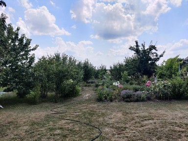 Продаж Будинку с. Трушки Київської області Білоцерківського району