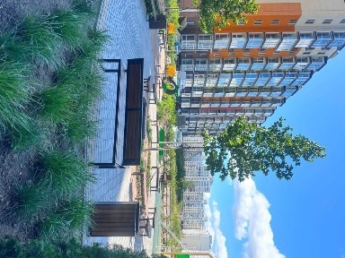 1 кімнатна, р-н Масани, новобудова