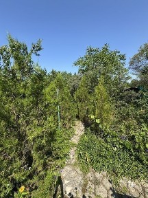 Харківська область, Харків, Індустріальний